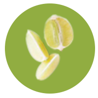 suplementos-vitaminicos